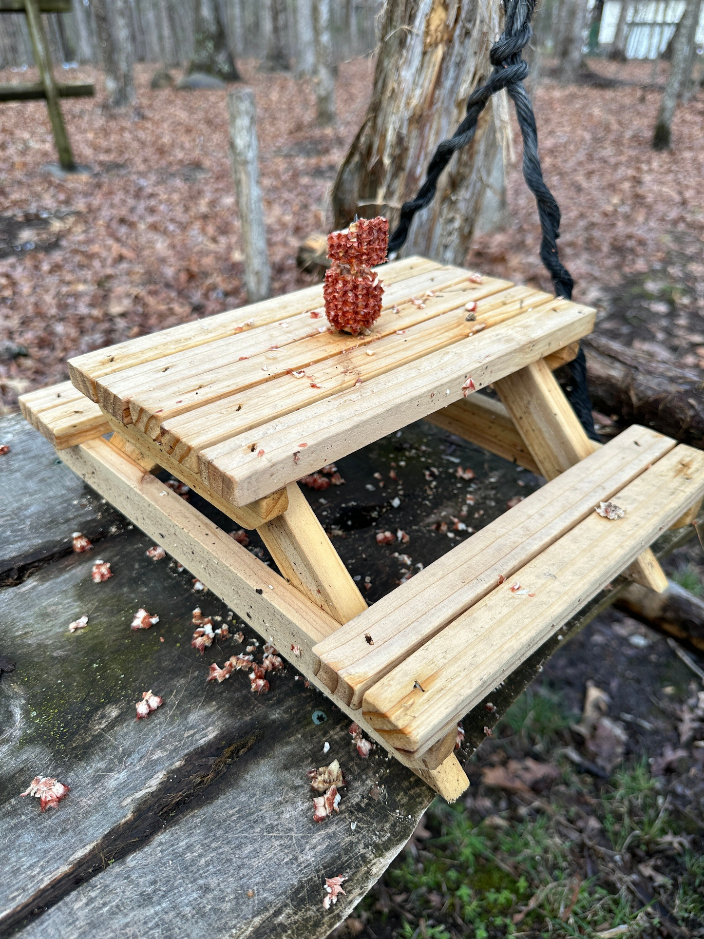 Adirondack Squirrel Picnic Table Feeder