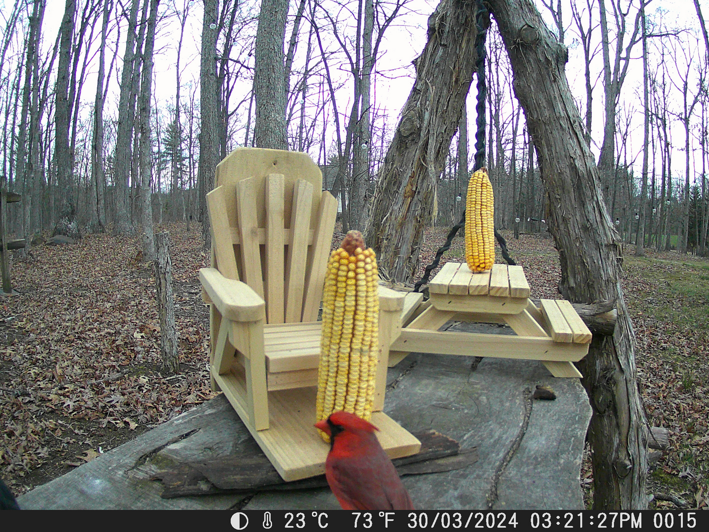 Adirondack Squirrel Picnic Table Feeder