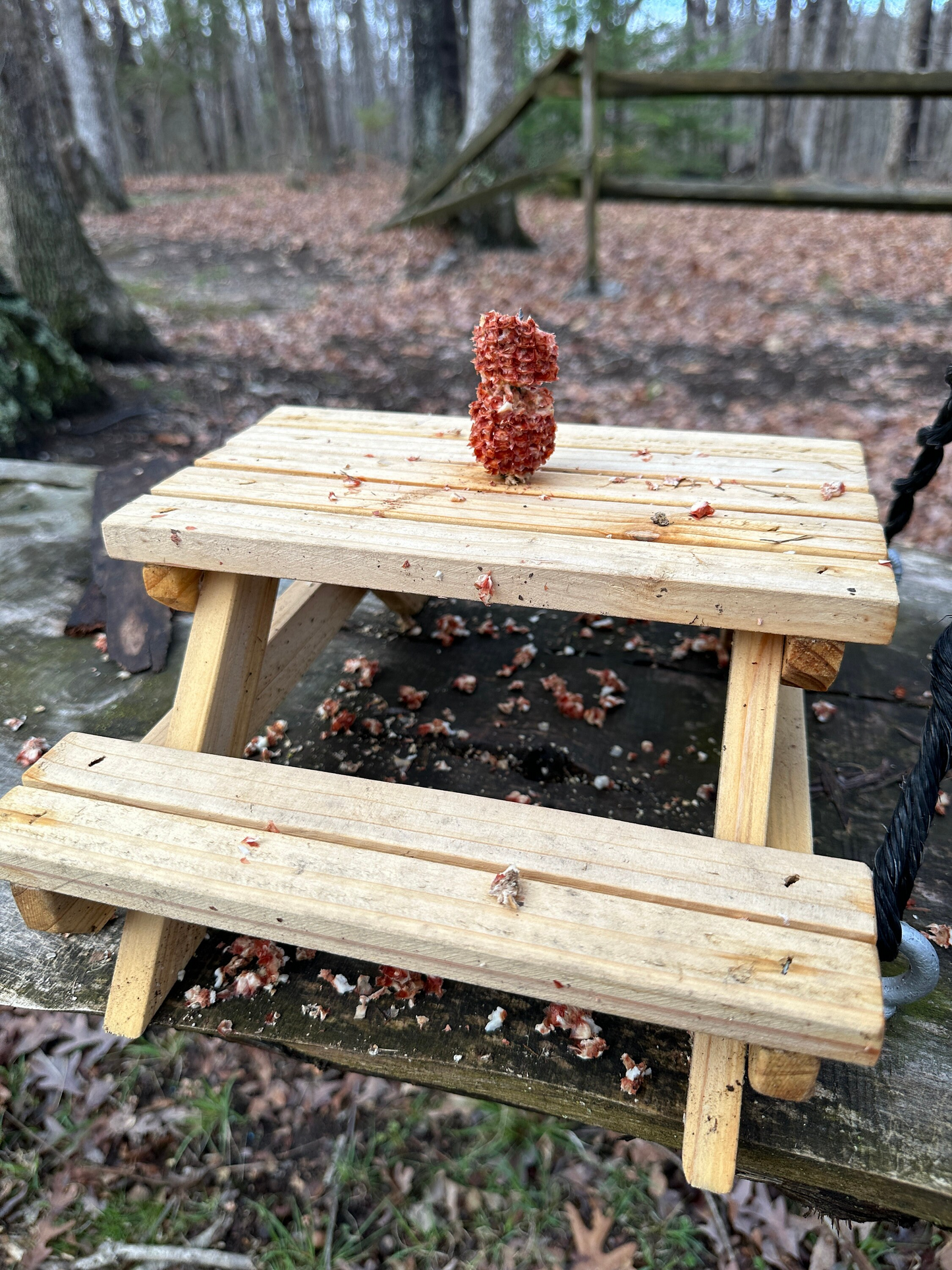 Adirondack Squirrel Picnic Table Feeder